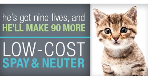 Low Cost Spay and Neuter